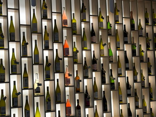 "Regaltrauben"<br>(Vinothek in der polnischen Weinhauptstadt Zielona Gora, Okt. 2024)